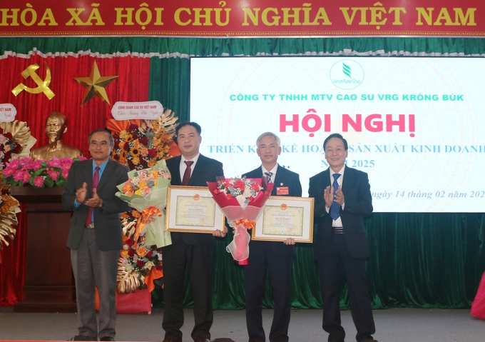 Thu nhập người lao động Cao su Krông Búk đạt trên 10 triệu đồng/người/tháng